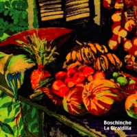 3rd CD 『Boschinche 』